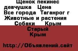 Щенок пекинес девчушка › Цена ­ 2 500 - Все города, Таганрог г. Животные и растения » Собаки   . Крым,Старый Крым